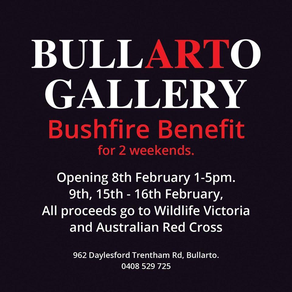 Bushfire Benefit Art Exhibition Poster